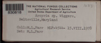 Image Associated With the Occurence